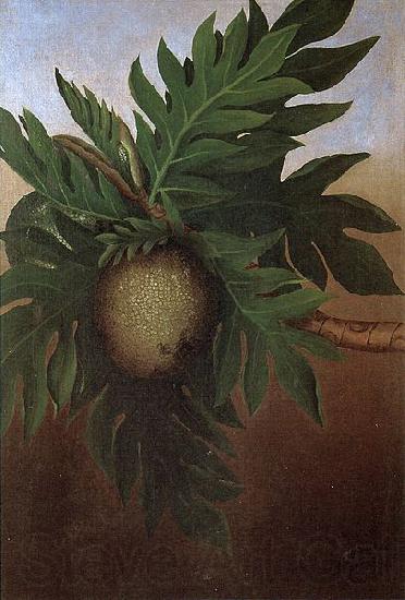 unknow artist Hawaiian Breadfruit, oil on canvas painting by Persis Goodale Thurston Taylor, c. 1890 France oil painting art